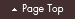 Page Top